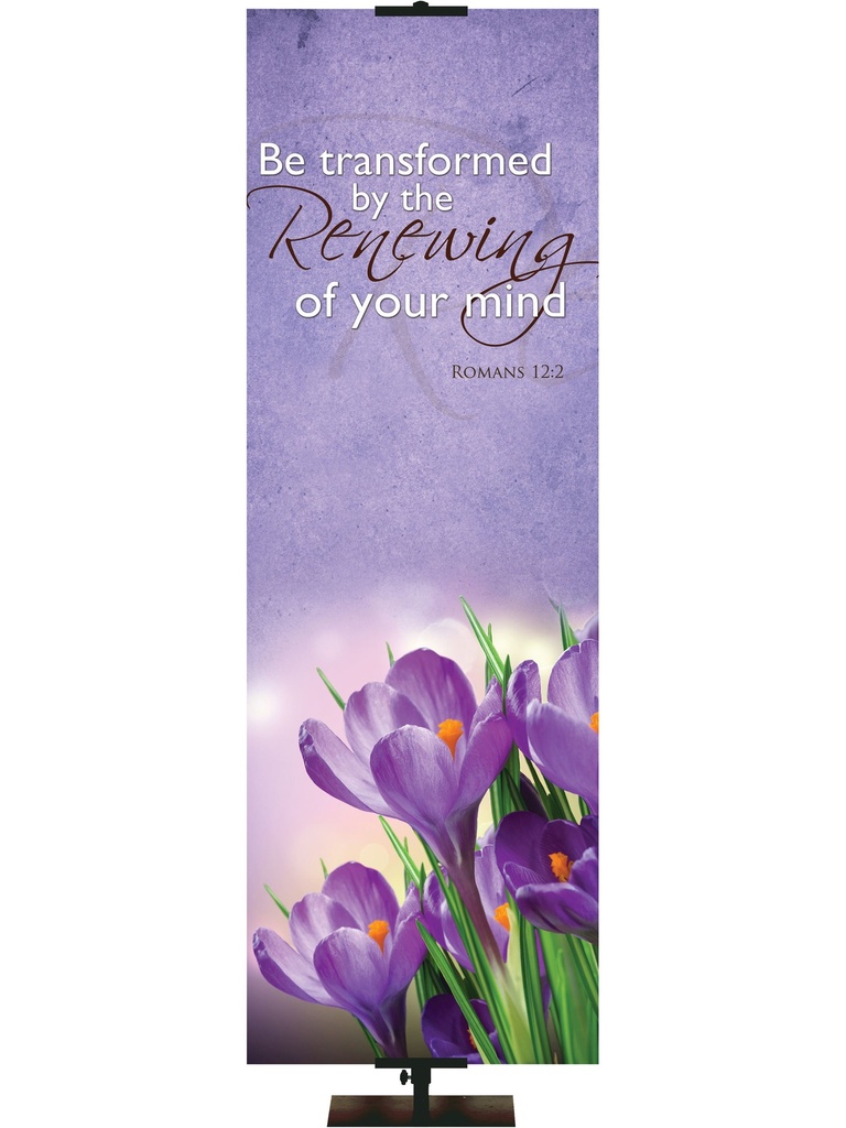 Renewal in Spring Be Transformed