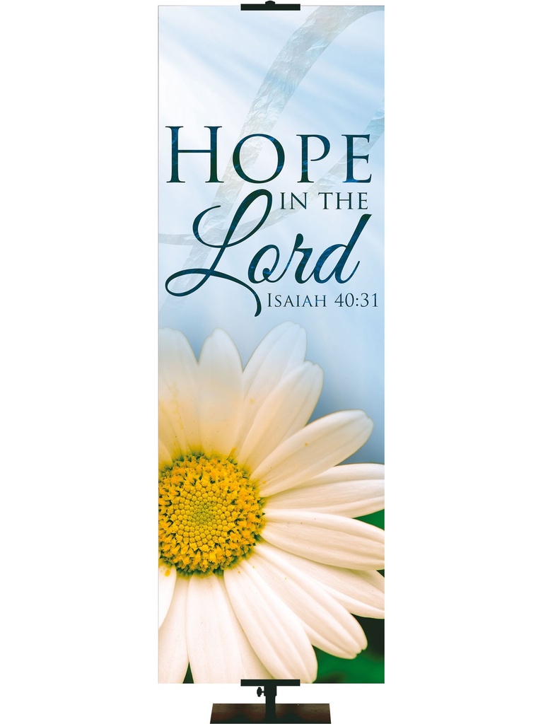 Signs of Spring Hope In the Lord