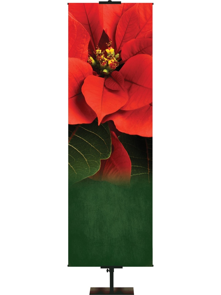 Custom Banner Colors of Christmas Let Us Adore Him