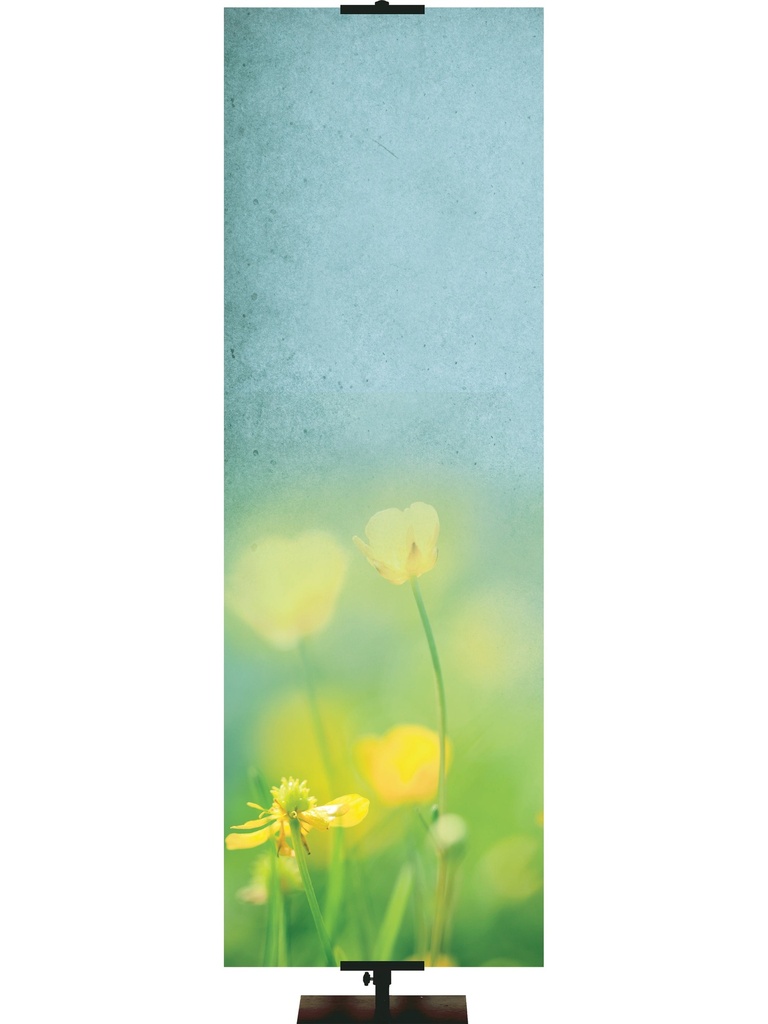 Custom Banner Renewal in Spring Where Sin is Increased