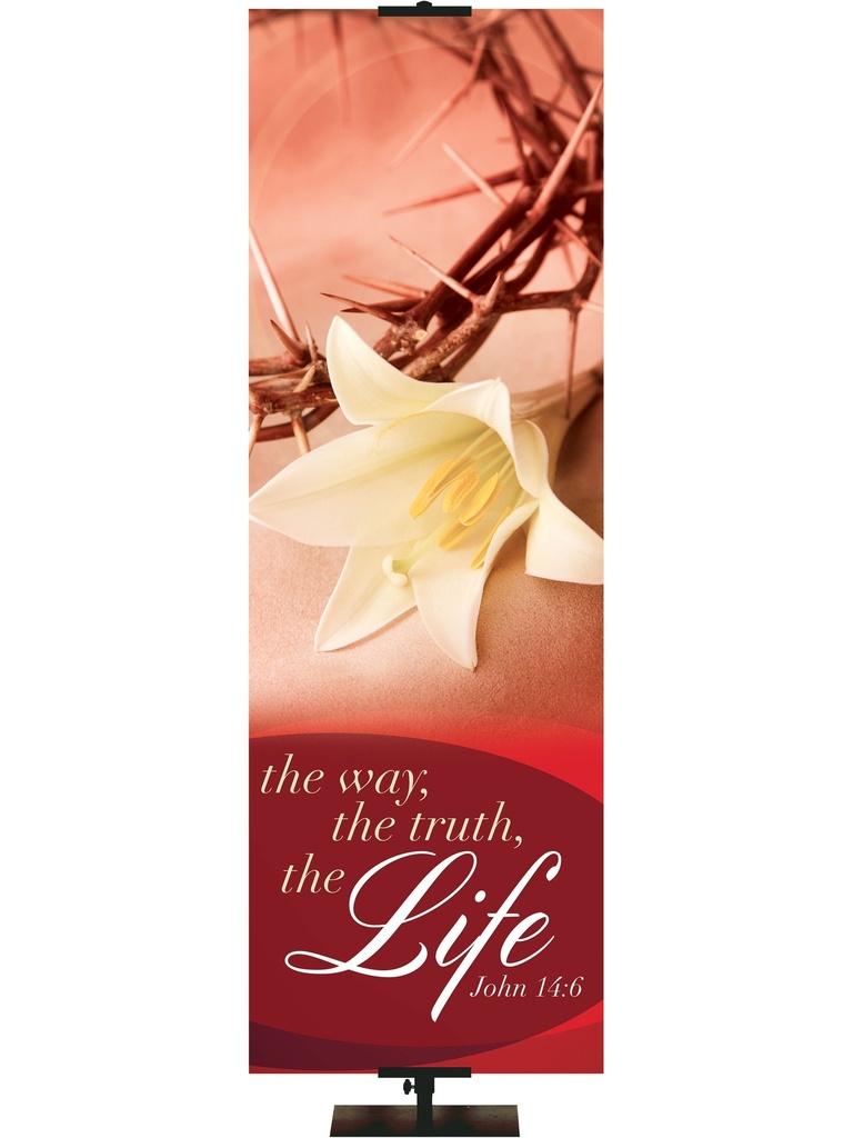 Passion of Christ The Way The Truth The Life