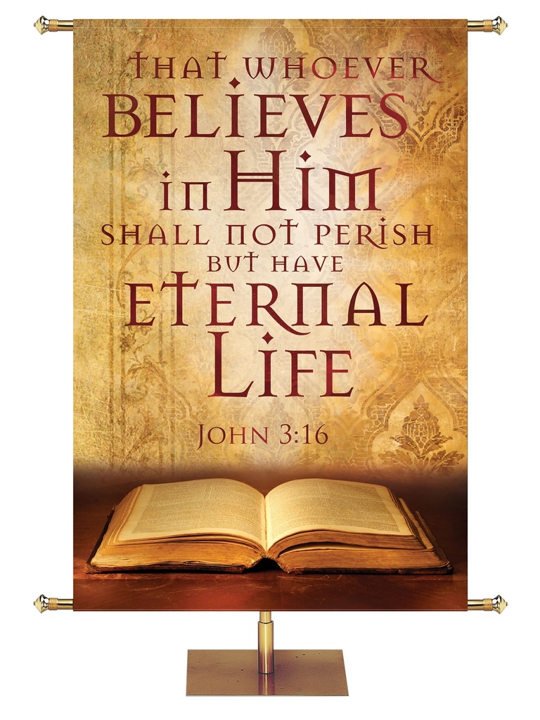 Overstock Scriptures For Life That Whoever Believes