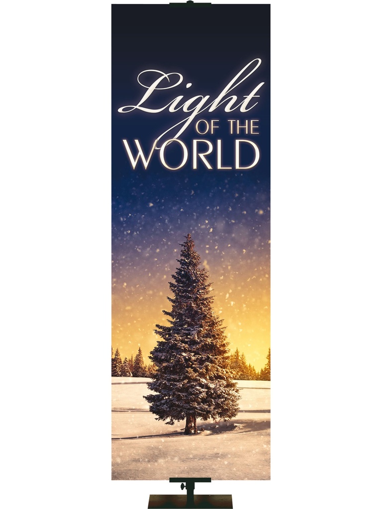 Christmas Creation Light of the World