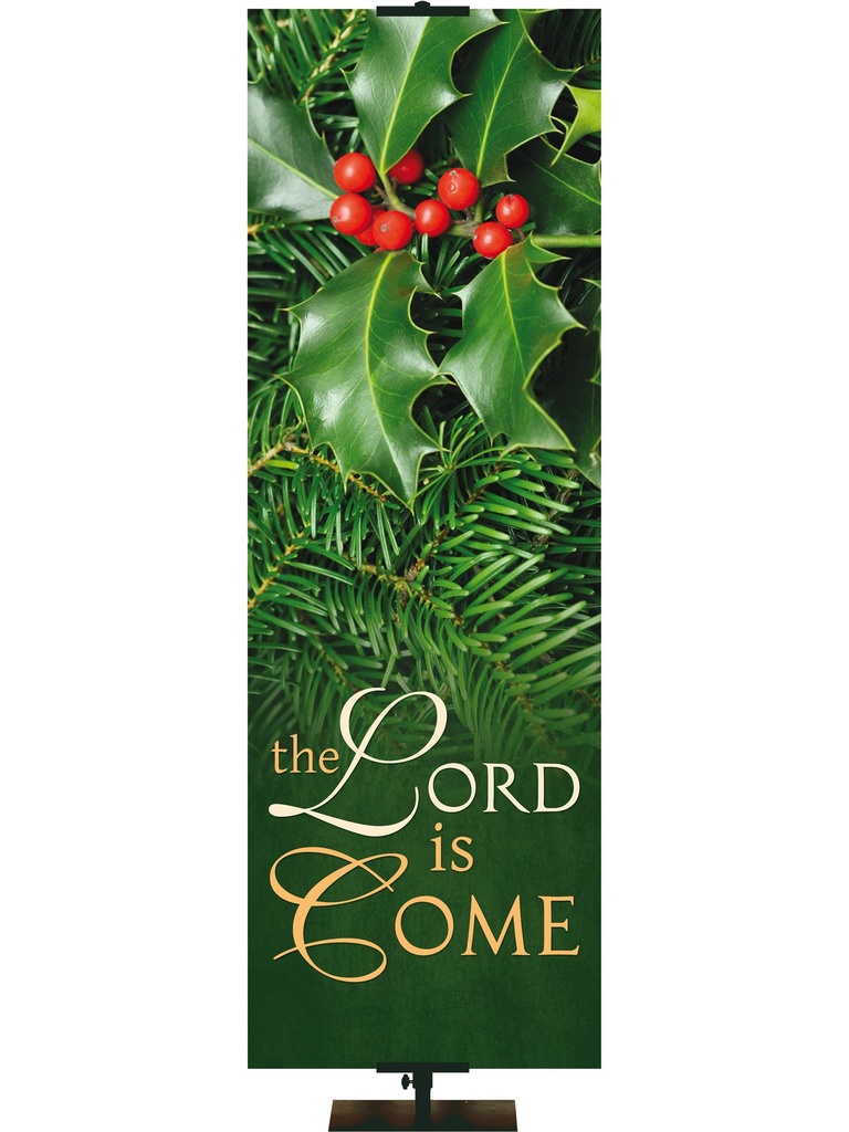 Colors of Christmas The Lord is Come