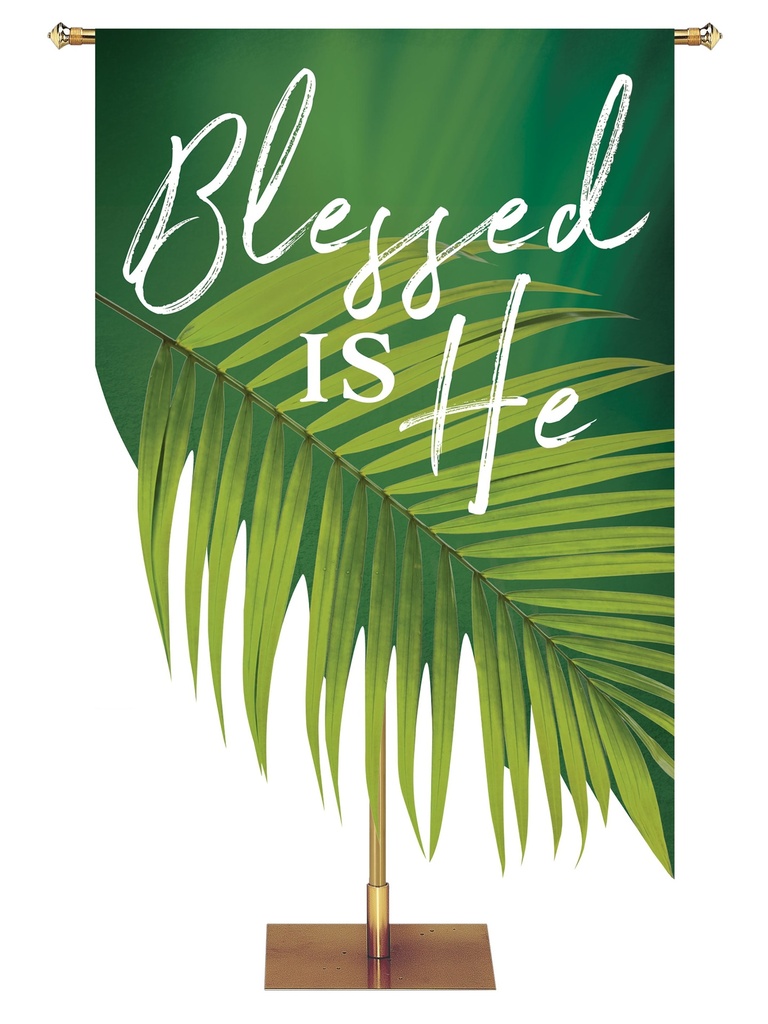 Contours of Easter Blessed is He Palm