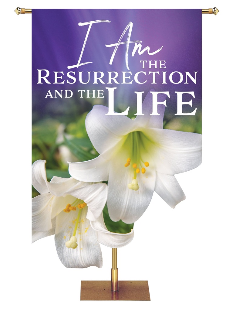 Contours of Easter Resurrection and the Life Lily