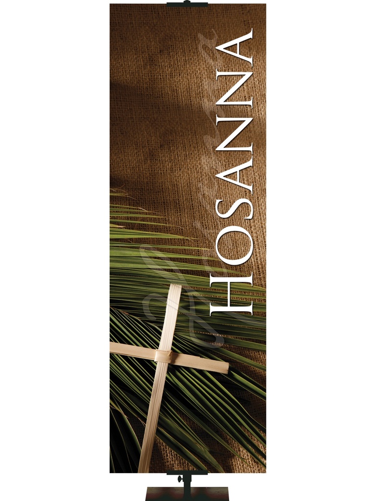 Spanish Colors of Easter Hosanna