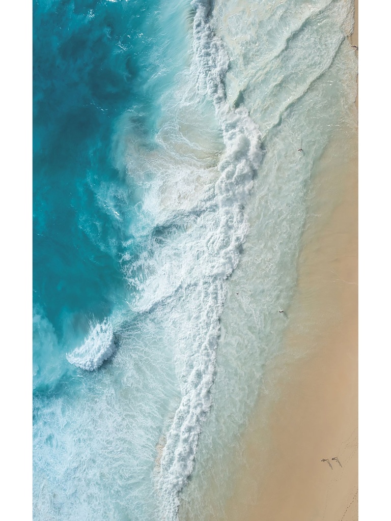 Surfing Safari Vinyl Living Room Rug