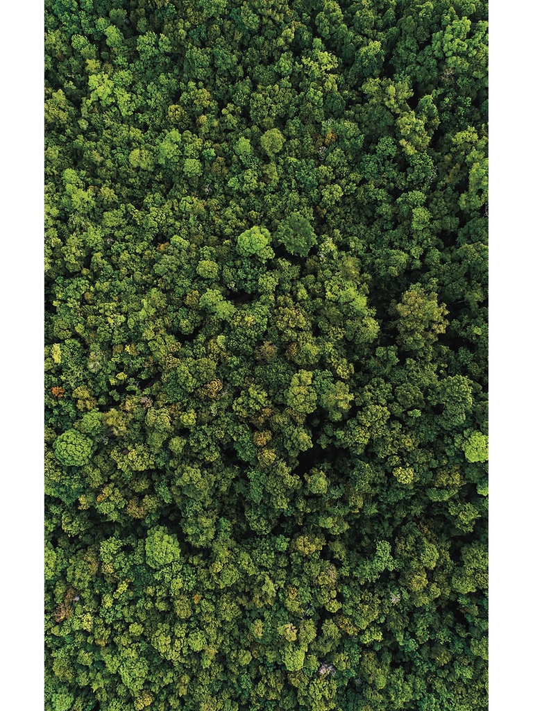 Aerial Trees Indoor Outdoor Area Rug