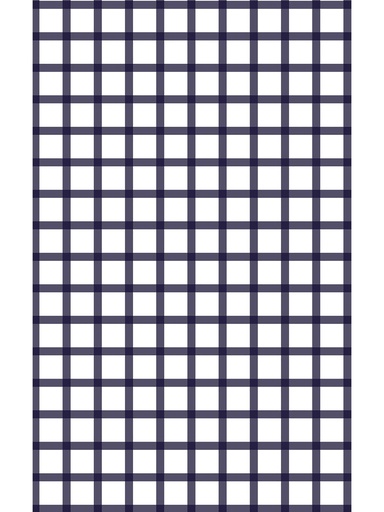 [VM-FGM] Fine Gingham Vinyl Floor Mat