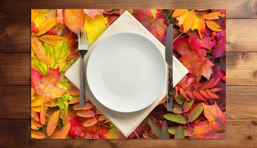 [VP-ACC] Autumn Color Collision Vinyl Placemats (set of 4)