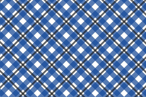 [VP-PTP] Past-Time Plaids Vintage Vinyl Placemats (set of 4)